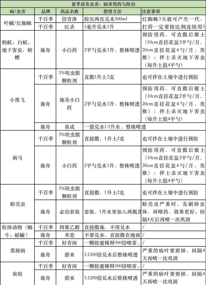 病虫害防治方案