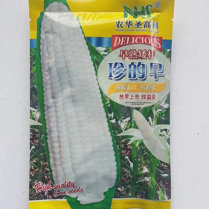 玉米种子批发
